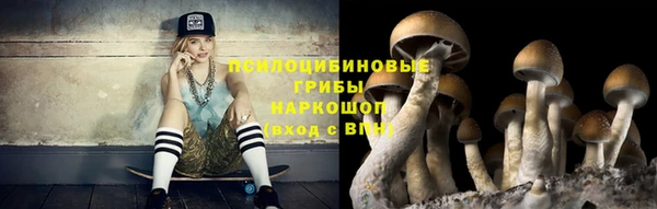 соль ск Инта