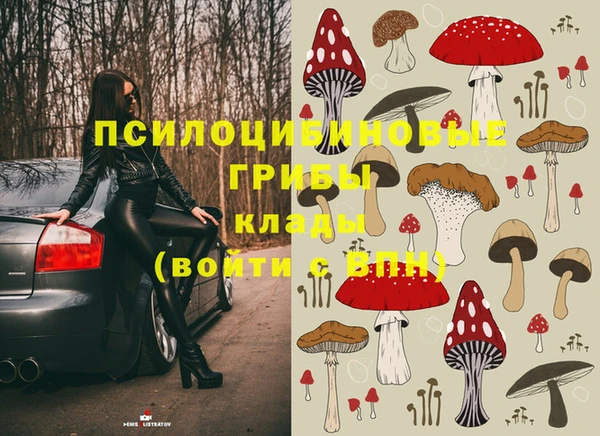 mix Зерноград