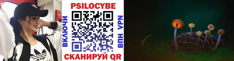 Псилоцибиновые грибы ЛСД  Купить закладки  Ивантеевка 